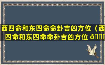 西四命和东四命命卦吉凶方位（西四命和东四命命卦吉凶方位 🐕 一样吗）